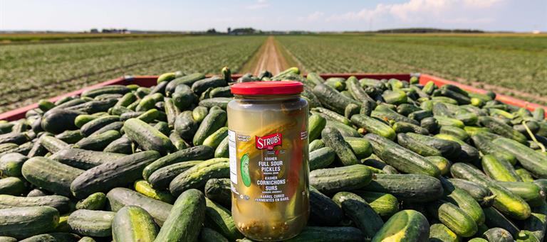 Strub’s is owned and operated in Canada by Whyte’s Foods Inc. Strub’s Pickles are made with Canadian cucumbers first.