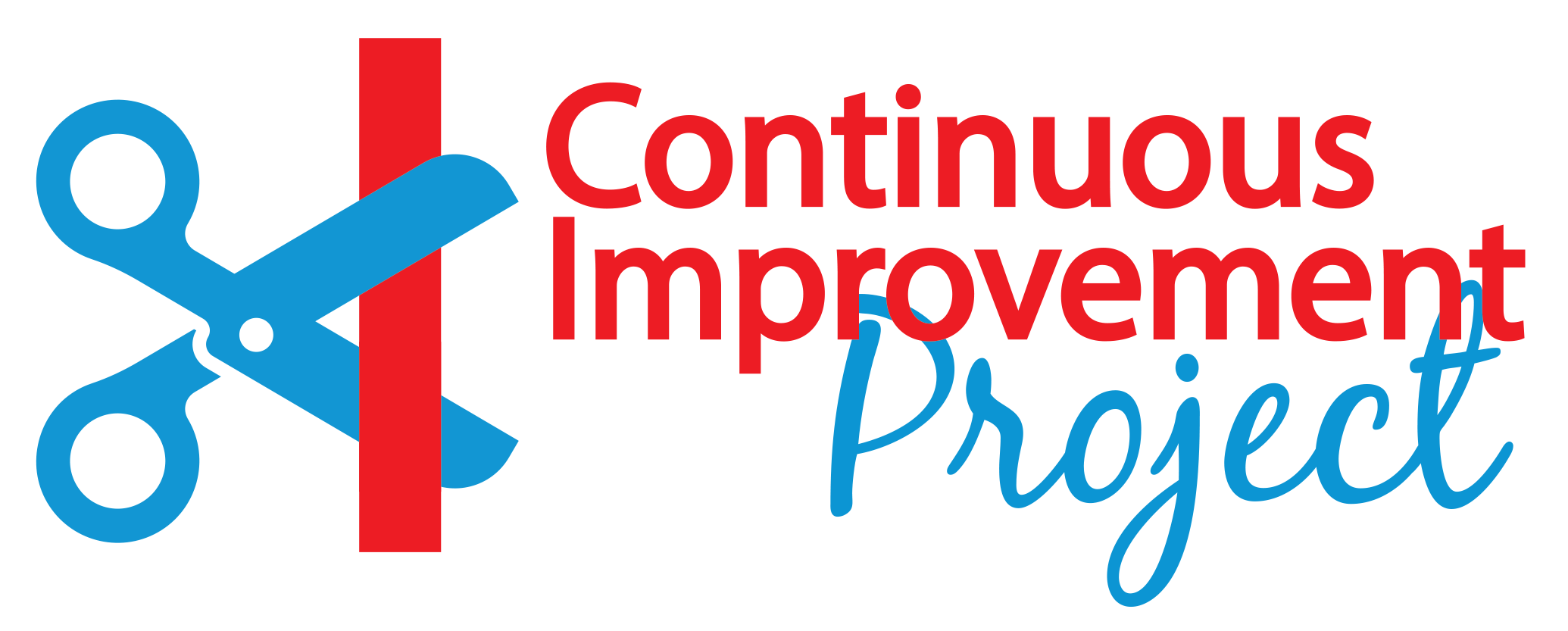 Continuous Improvement project