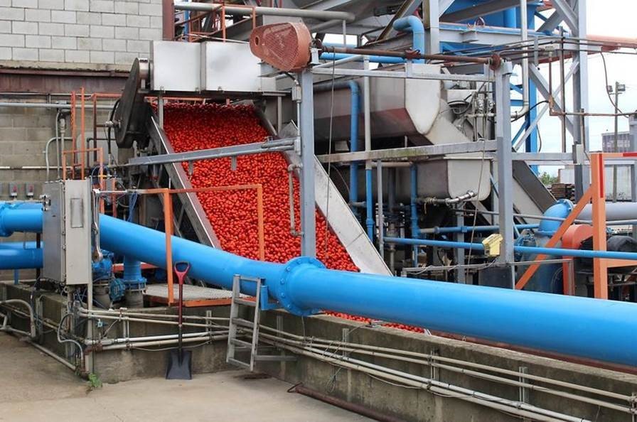 This large conveyor delivers tomatoes into the ConAgra Foods plant in Dresden