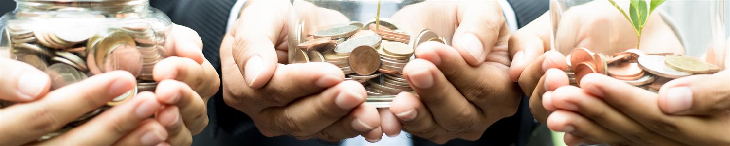 image of small seedling plants growing out of jars of money.