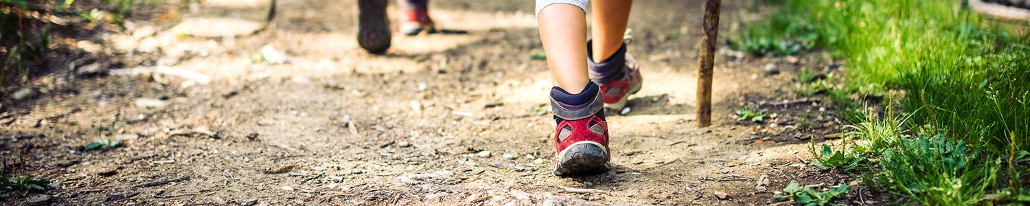 Image of kids walking down a trail