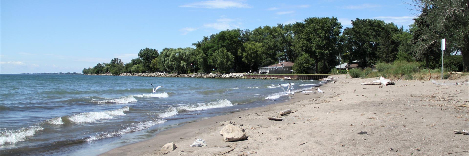 A house on a wide sandy beach with tall trees in the background and waves in the water.