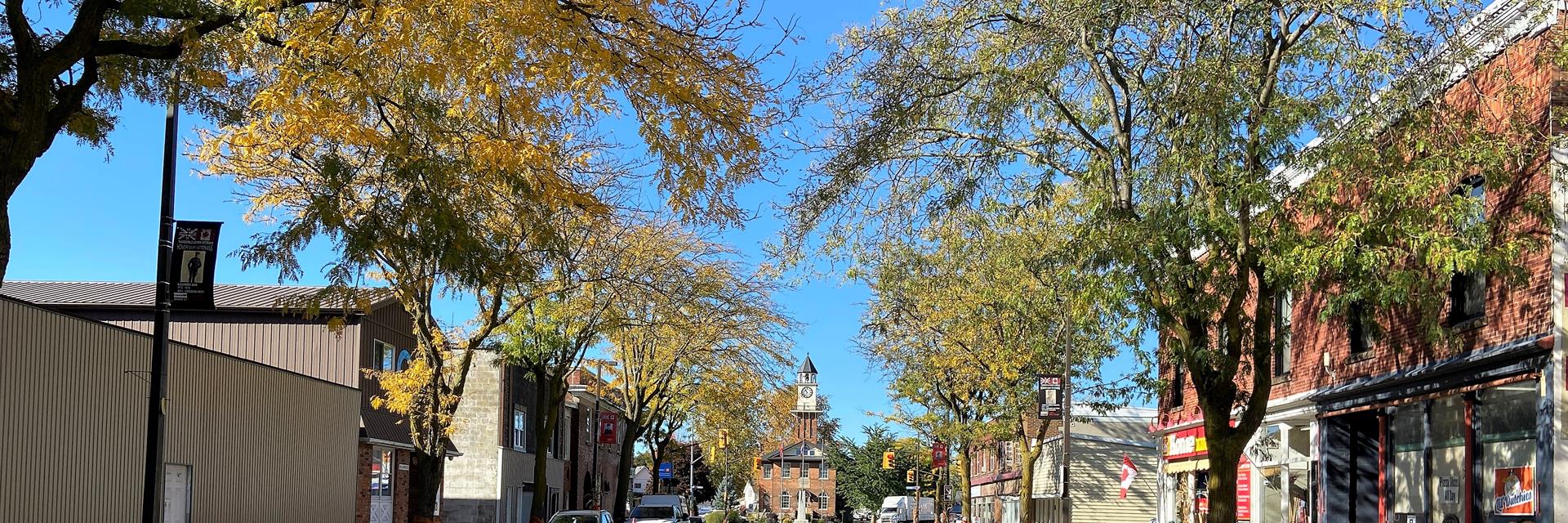 A main street lined by trees with a historical clock tower building at the end of the street.