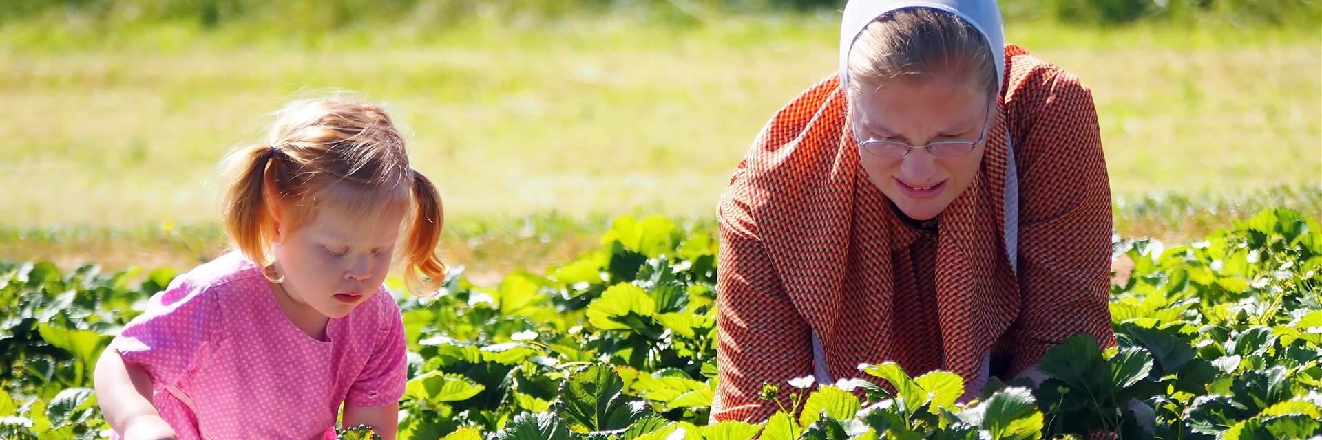 A mom and her child picking vegetables from the field. 