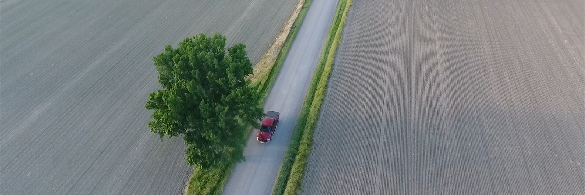 A car driving down a rural road lined by fields.