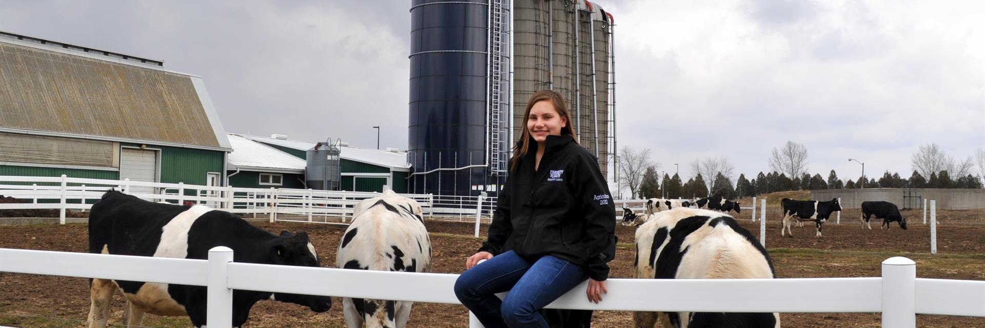 Cattle farmer sitting on a fence with cows behind her.