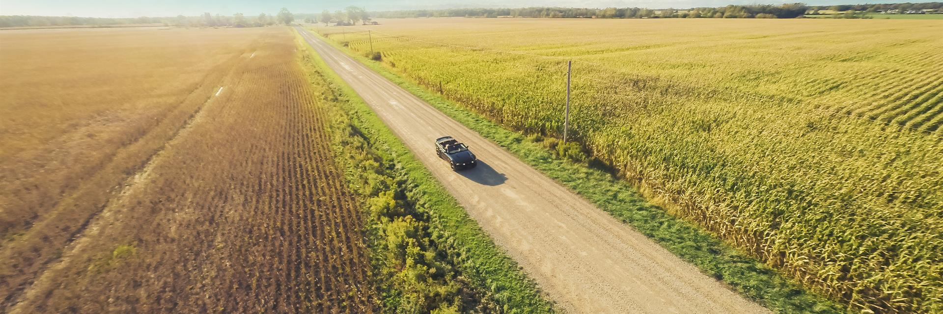 a car driving on a country road in chatham-kent