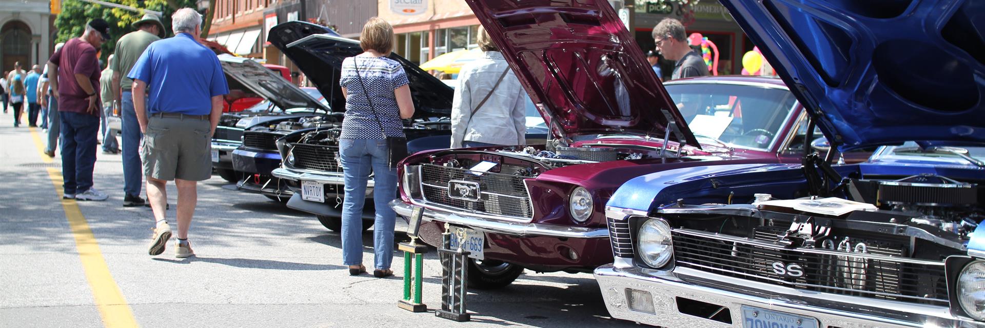 a line of brightly coloured cars on display at a classic car show in chatham-kent