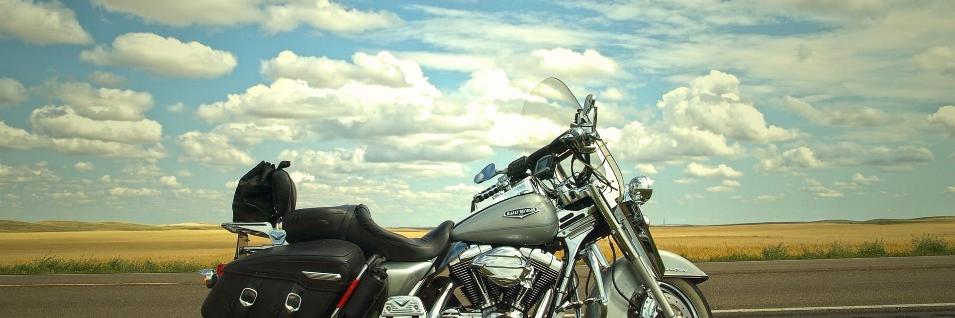 motorcycle in front of a yellow field 