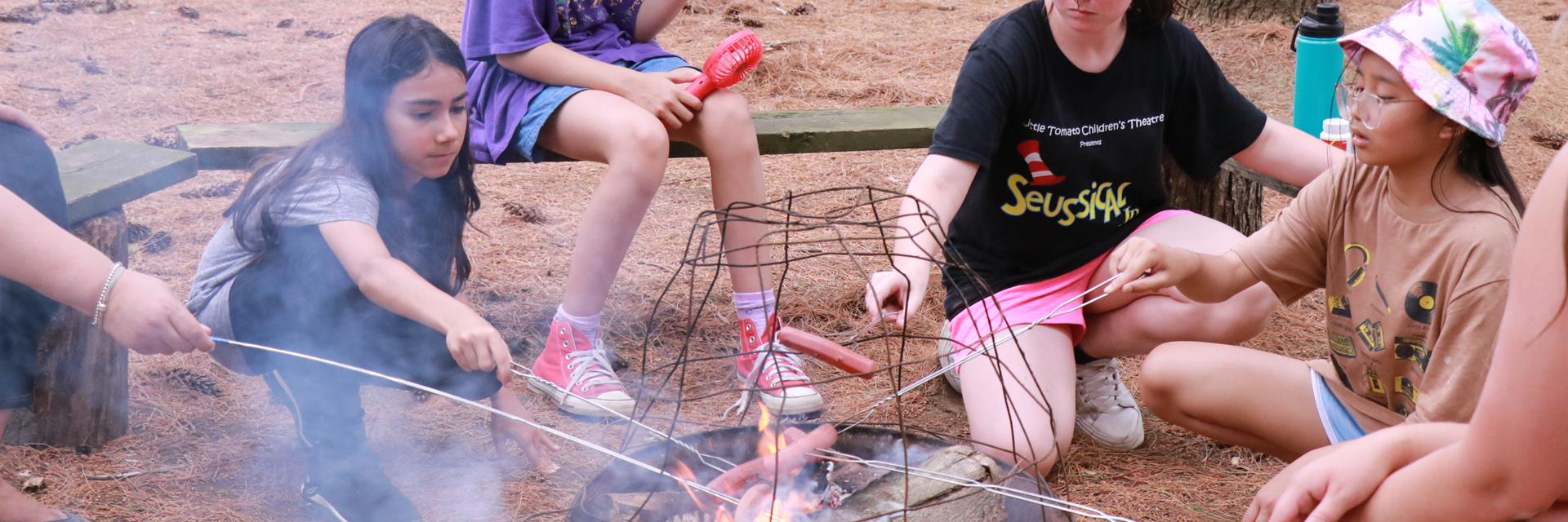 kids cooking hot dogs around a fire