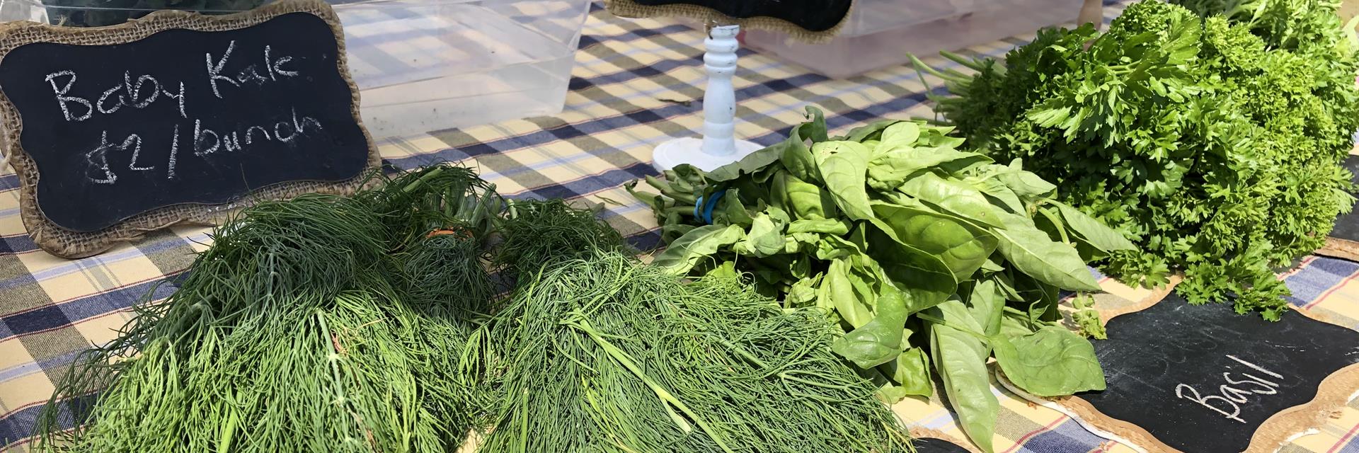 kale at a market