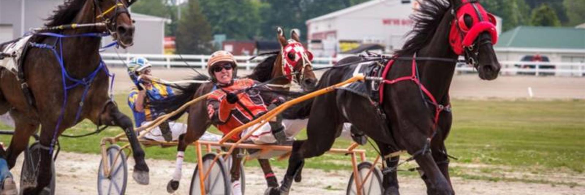 horse racing happening on the track at the dresden raceway